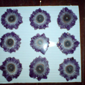 Uruguay Minerals. Marcos Lorenzelli S.R.L. Amethyst Stalactites Slices