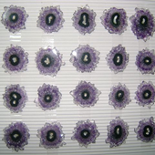 Uruguay Minerals. Marcos Lorenzelli S.R.L. Amethyst Stalactites Slices