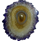 Uruguay Minerals. Marcos Lorenzelli S.R.L. Amethyst Stalactites Slices