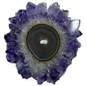 Uruguay Minerals. Marcos Lorenzelli S.R.L. Amethyst Stalactites Slices