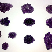 Uruguay Minerals. Marcos Lorenzelli S.R.L. Amethyst Roses