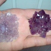 Uruguay Minerals. Marcos Lorenzelli S.R.L. Amethyst Roses