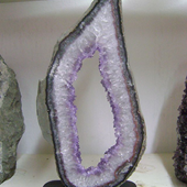 Uruguay Minerals. Marcos Lorenzelli S.R.L. Amethyst Geodes Slices with Wood Bases