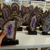 Uruguay Minerals. Marcos Lorenzelli S.R.L. Amethyst Geodes Slices with Wood Bases