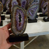 Uruguay Minerals. Marcos Lorenzelli S.R.L. Amethyst Geodes Slices with Wood Bases