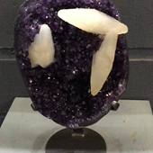 Uruguay Minerals. Marcos Lorenzelli S.R.L. Amethyst Pieces with Stands