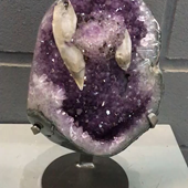 Uruguay Minerals. Marcos Lorenzelli S.R.L. Amethyst Pieces with Stands