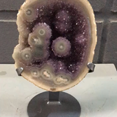 Uruguay Minerals. Marcos Lorenzelli S.R.L. Amethyst Pieces with Stands