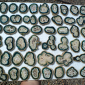 Uruguay Minerals. Marcos Lorenzelli S.R.L. Jasper Stalactites Slices
