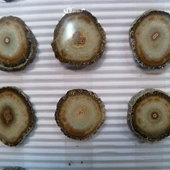 Uruguay Minerals. Marcos Lorenzelli S.R.L. Jasper Stalactites Slices